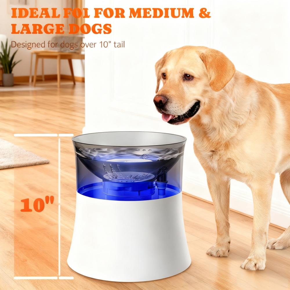 Large Dog Water Fountain with 4-Stage Filtration and Splash-Free Design