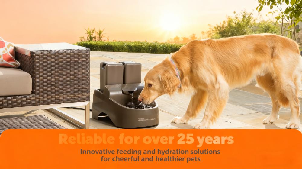 2-Gallon Pet Water Fountain with Customizable Stream for Dogs