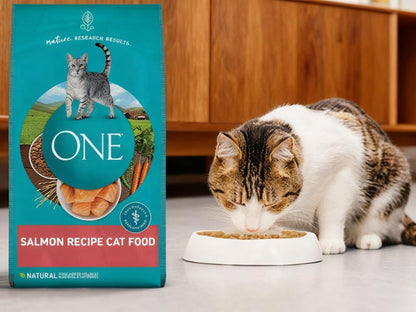 Purina ONE Natural Salmon Recipe Cat Food
