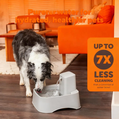 2-Gallon Pet Water Fountain with Customizable Stream for Dogs