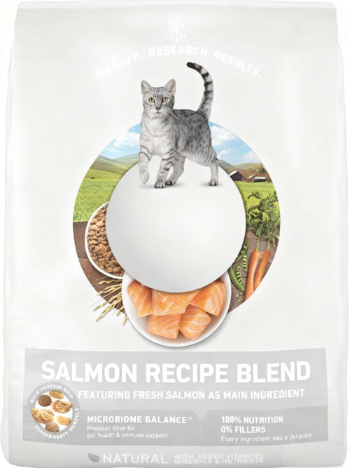 Purina ONE Natural Salmon Recipe Cat Food